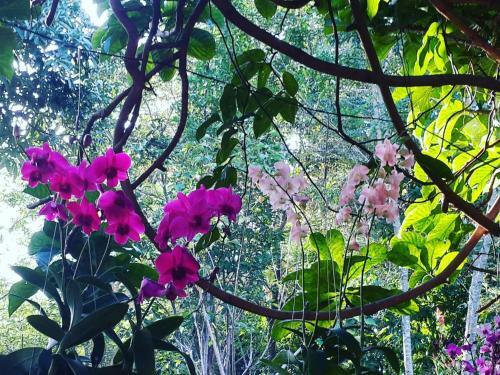 Hotel Khaoyai Nature Retreat