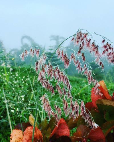 Hotel Khaoyai Nature Retreat