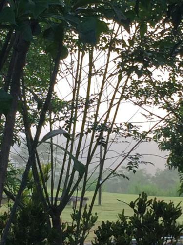 Hotel Khaoyai Nature Retreat