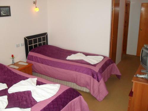 Bed & Breakfast Hotel Baykal