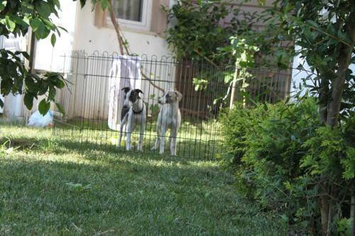 Aloria Garden Hotel