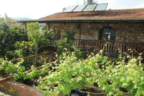 Hostal Likya Pansiyon