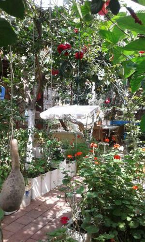 Hostal Likya Pansiyon