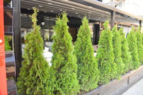 Hotel Enginyurt City Otel