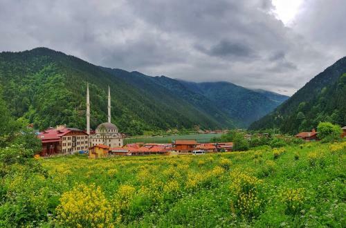 Ilhan Kardesler Apart Hotel