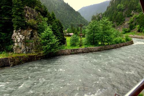 Yesil Irmak Bungalows
