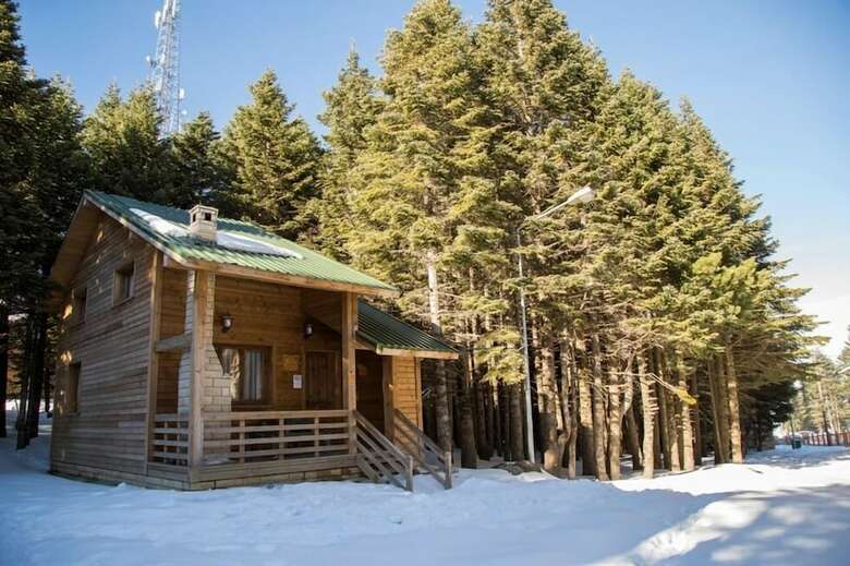 Lodge Uludag Orman Koskleri
