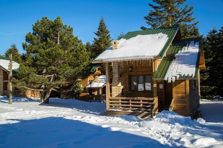 Lodge Uludag Orman Koskleri