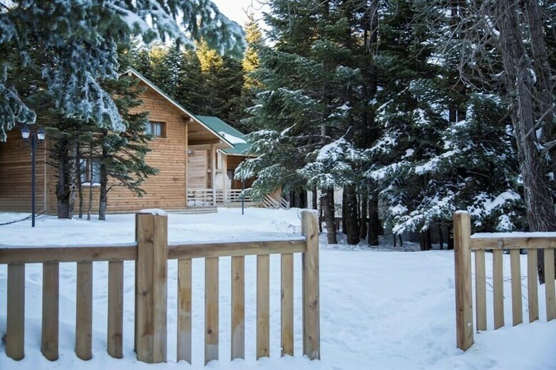 Lodge Uludag Orman Koskleri