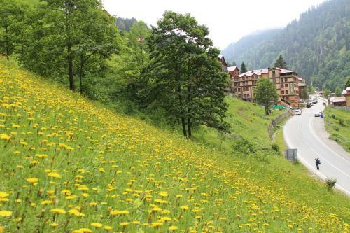 Ayder Resort Hotel