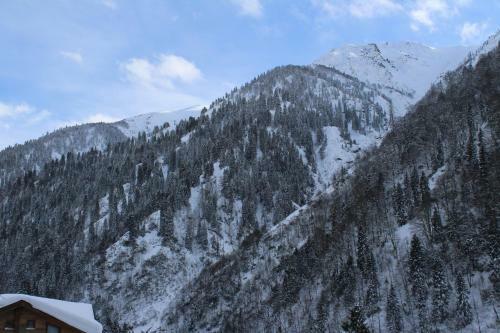Ayder Resort Hotel