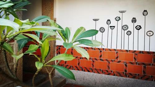 I-shan B&B