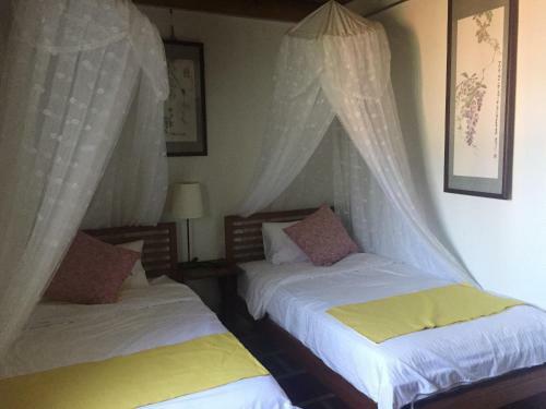 Bed & Breakfast Lexis Inn