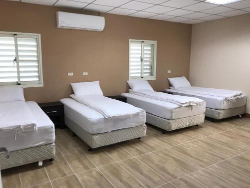 Koca Coffee B&B
