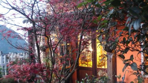 E-good Morning B&B