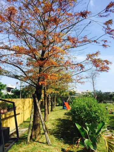Chamil Walking