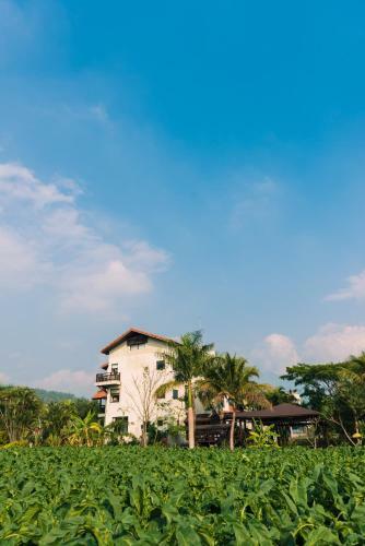 Bed & Breakfast Palm Villa Guesthouse