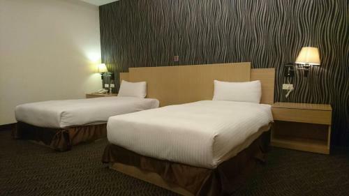 Dreamer Hotel