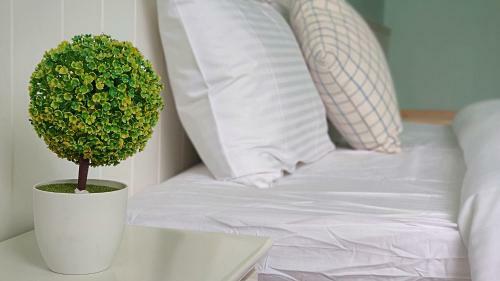 Green Field B&B