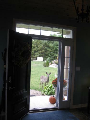 Bed & Breakfast Benaaron Guest House