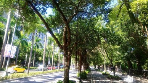 Apartamento Bnb Tpe