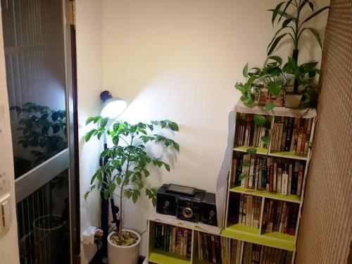 Apartamento Kiwi101