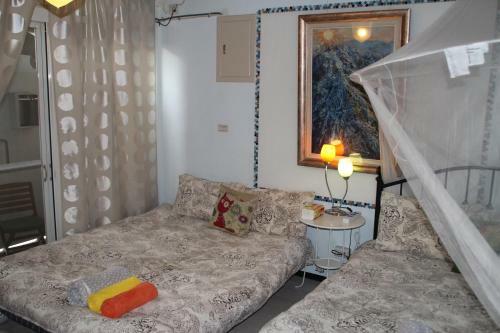 Hostal Vincent Willem Van Gogh Hall