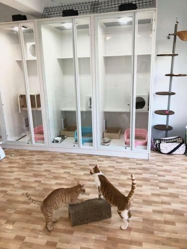 Apartamento Meo-woo Cat Travel