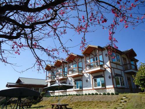 Hostal Starvilla