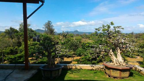 Nature Garden Homestay