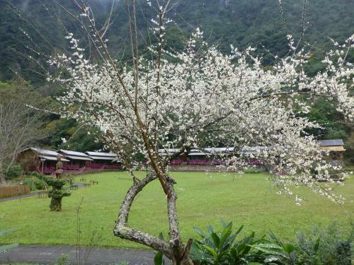 Lodge Taroko Village Hotel