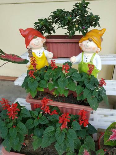 Twins Homestay