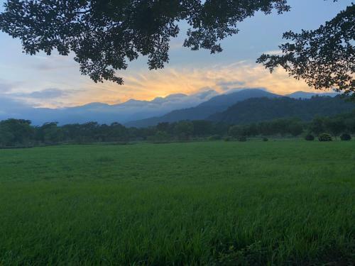 Kepler Homestay