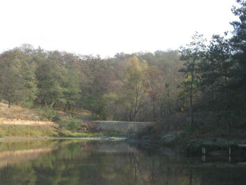 Lodge Fishing Park