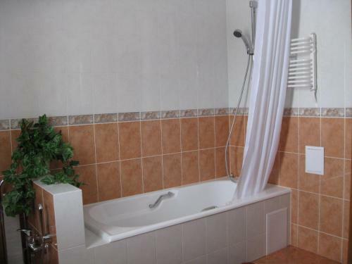 Hostal Alisa