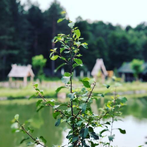 Hostal Gostynna Sadyba Kit Bayun