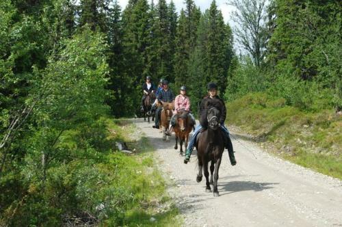 Apartamento Skalsh�jden Vemdalsskalet