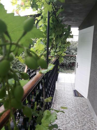 Apartamento Oak Grove Studios
