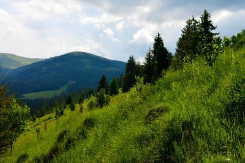 Lodge Zatishok Bilya Richky