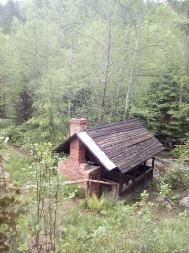 Sunny Forest House