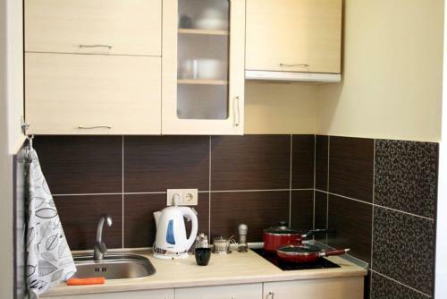 V&v Apartment