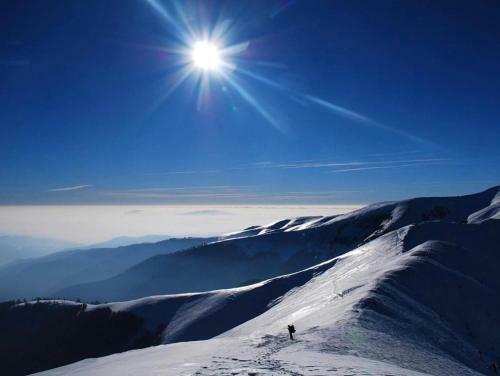 Hostal Sadyba Domashniy Zatyshok