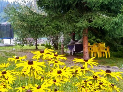 Hostal Zoryani Karpaty