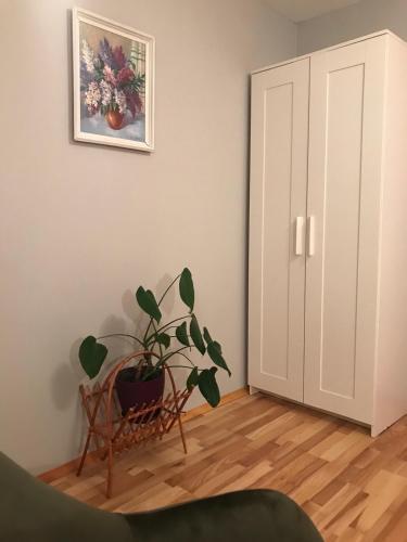 Hostal Sadyba Anastasia