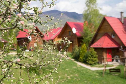 Hostal Teremok Guest House