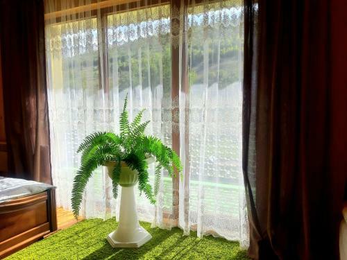 Hostal Guest House Oleksandriya