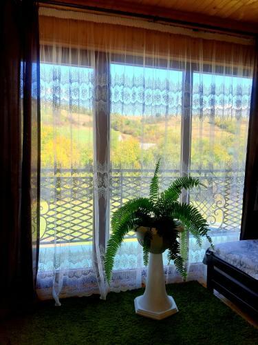 Hostal Guest House Oleksandriya