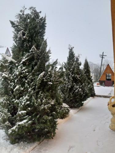 Hostal Guest House Oleksandriya
