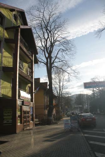 Posada Hotel Yaremche