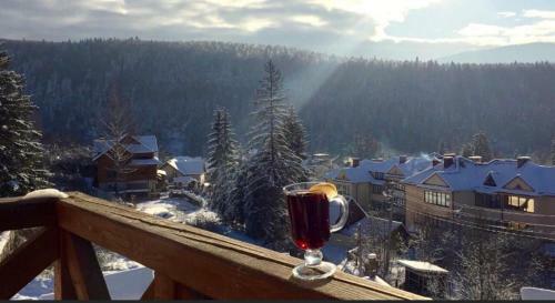 Hotel Shovkova Kositsya
